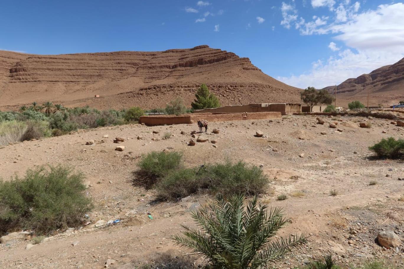 Gite D'Etape Ziz Oasis Achbarou Exterior foto
